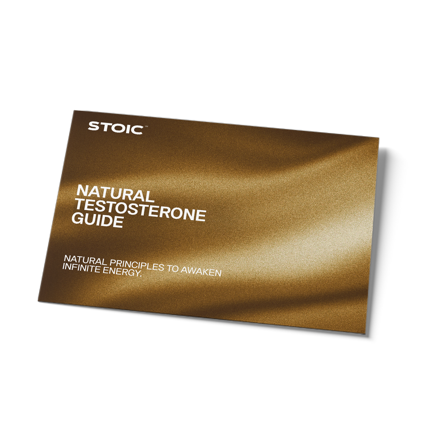 Testosterone Guide