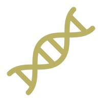 Testosterone Health
